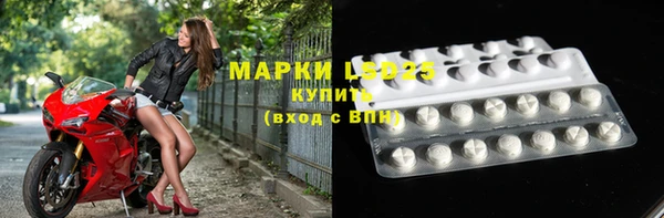 PSILOCYBIN Балахна