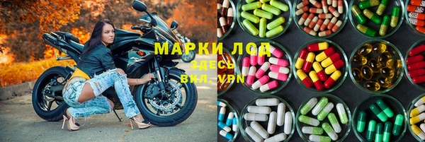 PSILOCYBIN Балахна
