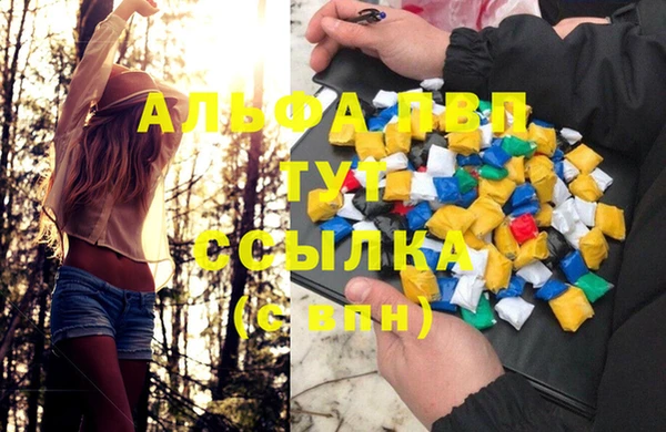 PSILOCYBIN Балахна