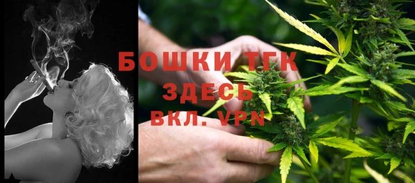 PSILOCYBIN Балахна